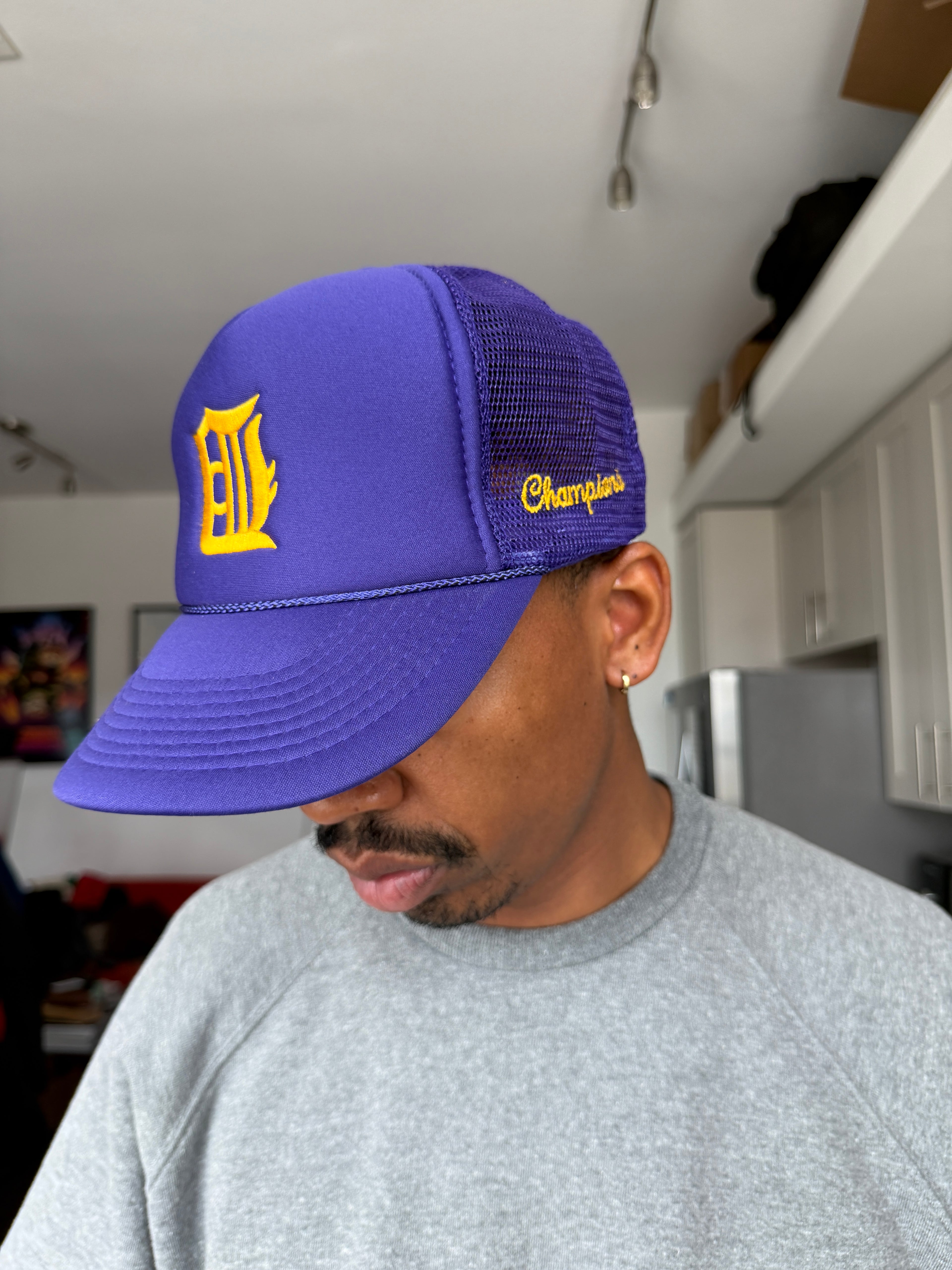 Champion Detroit Tigers Purple Baseball Cap