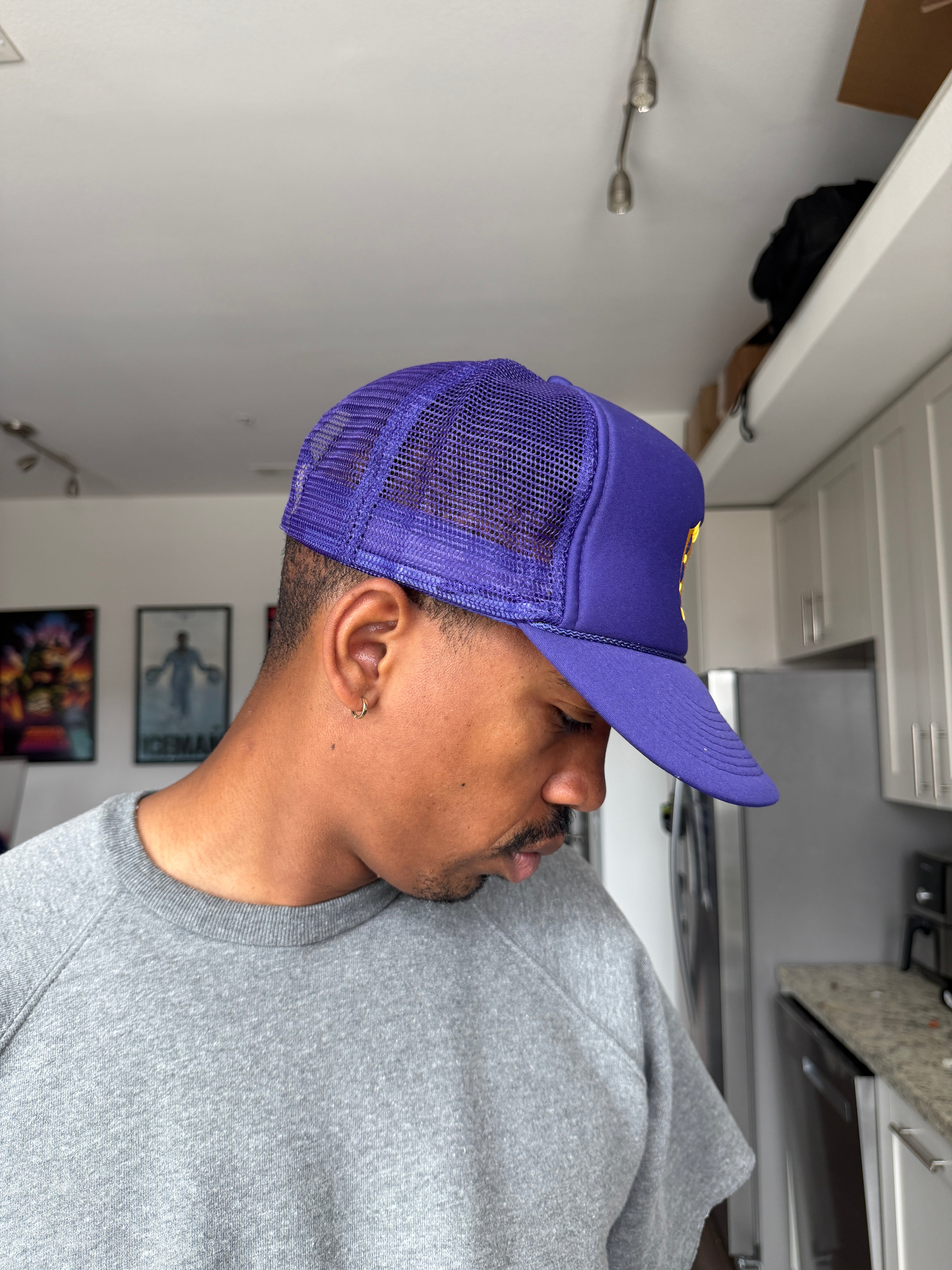 Champion Detroit Tigers Purple Baseball Cap