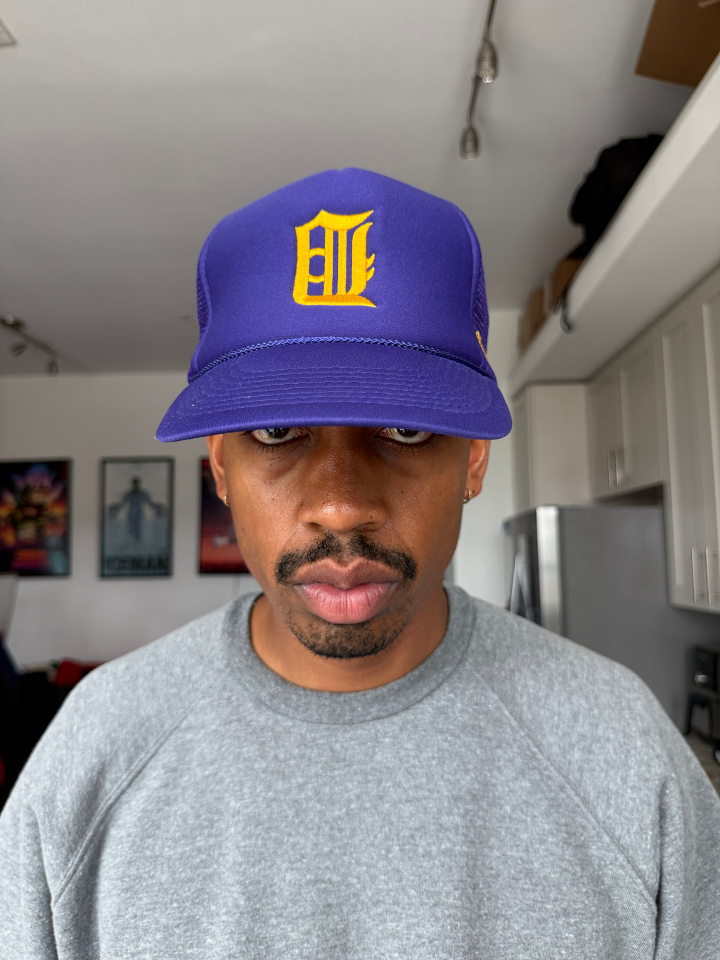 Champion Detroit Tigers Purple Baseball Cap