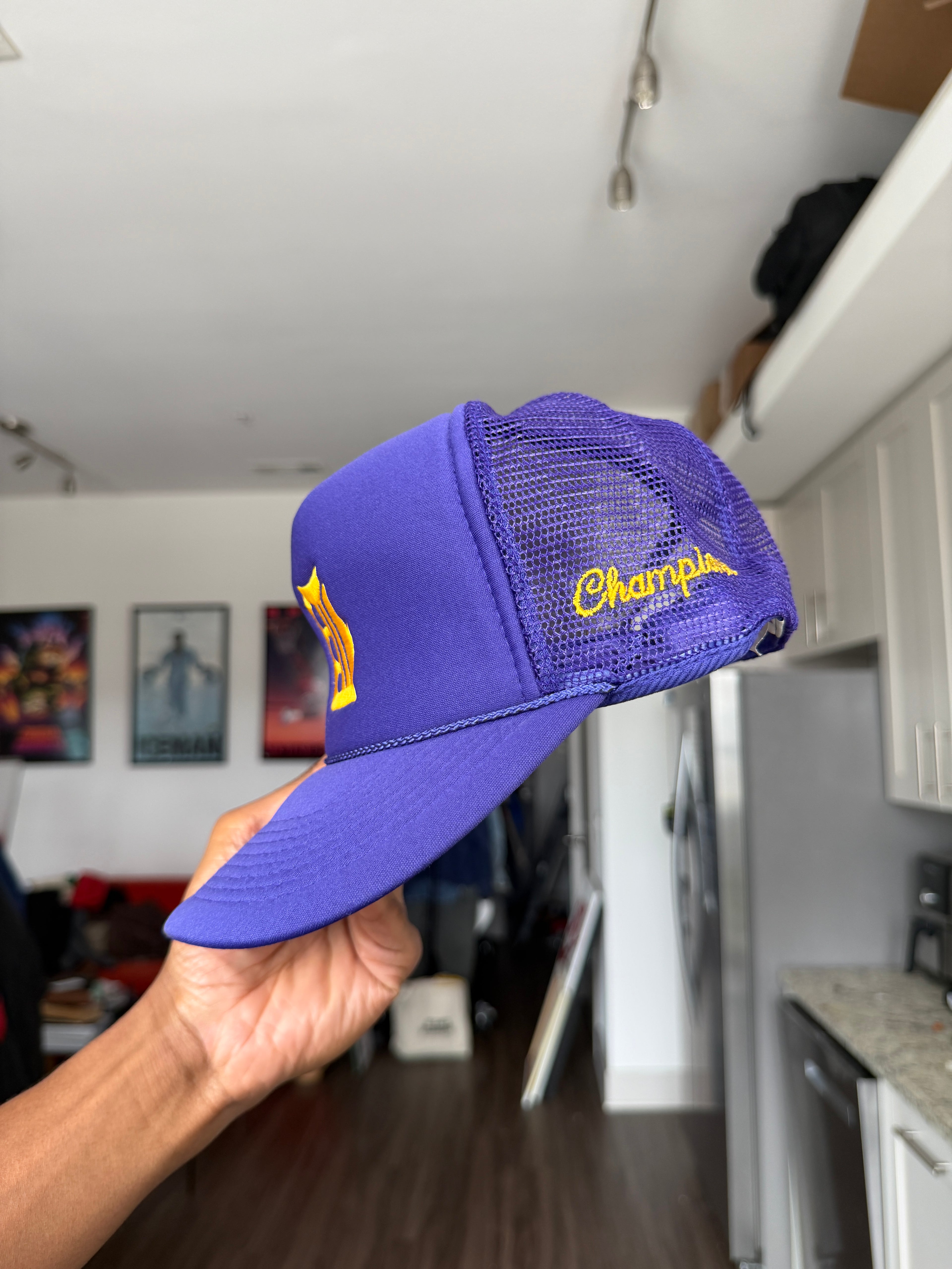 Champion Detroit Tigers Purple Baseball Cap