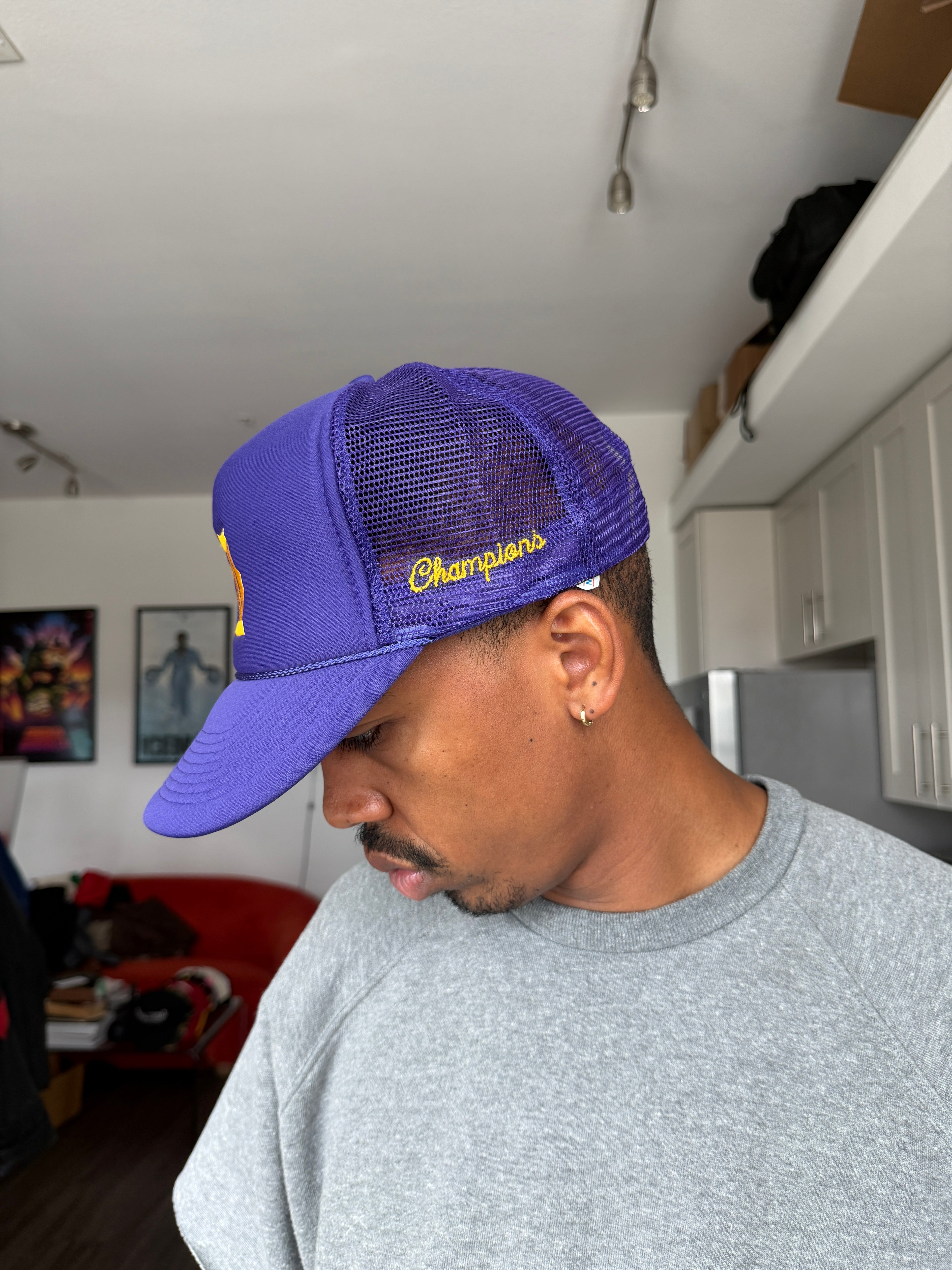 Champion Detroit Tigers Purple Baseball Cap