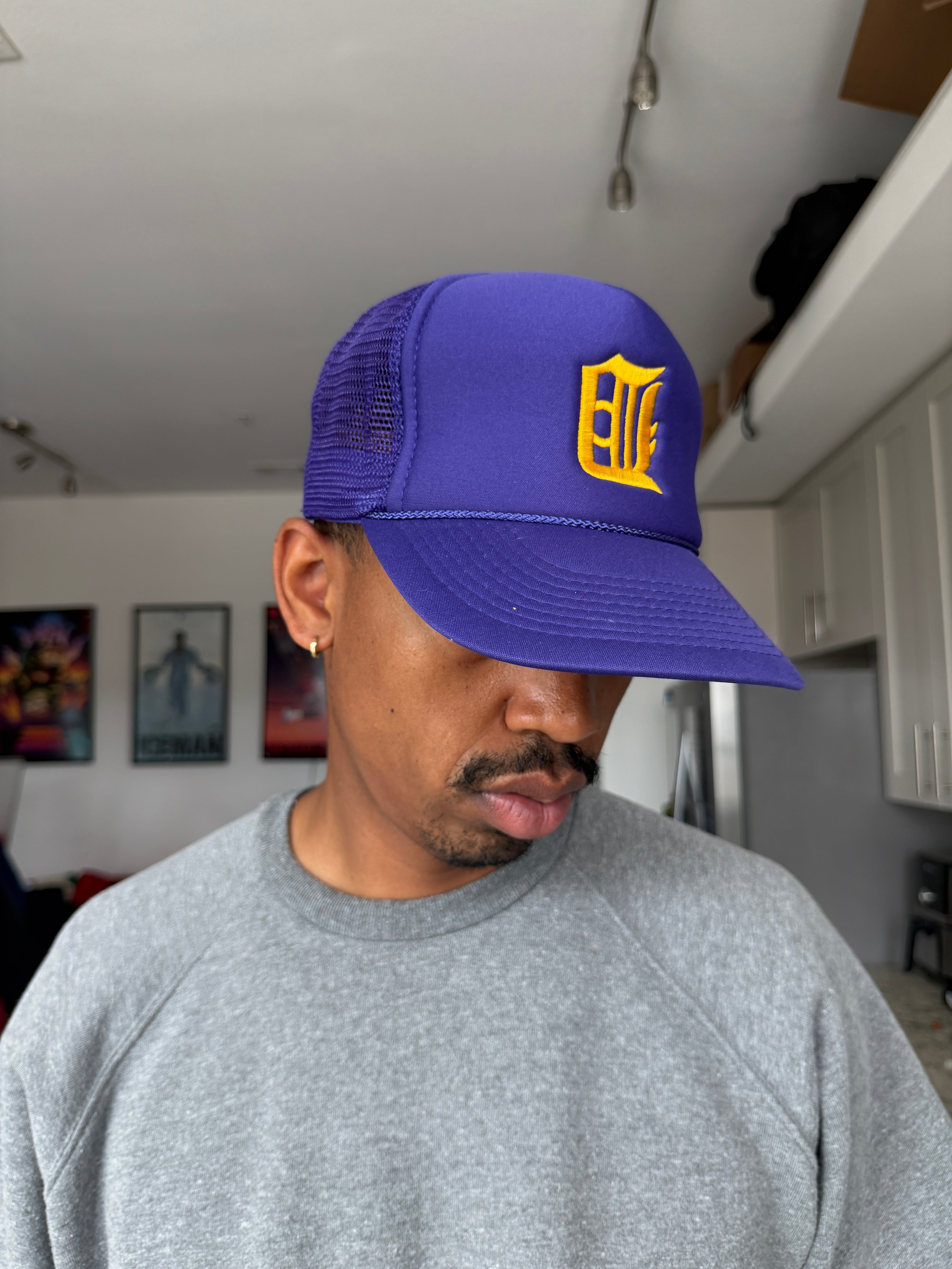 Champion Detroit Tigers Purple Baseball Cap