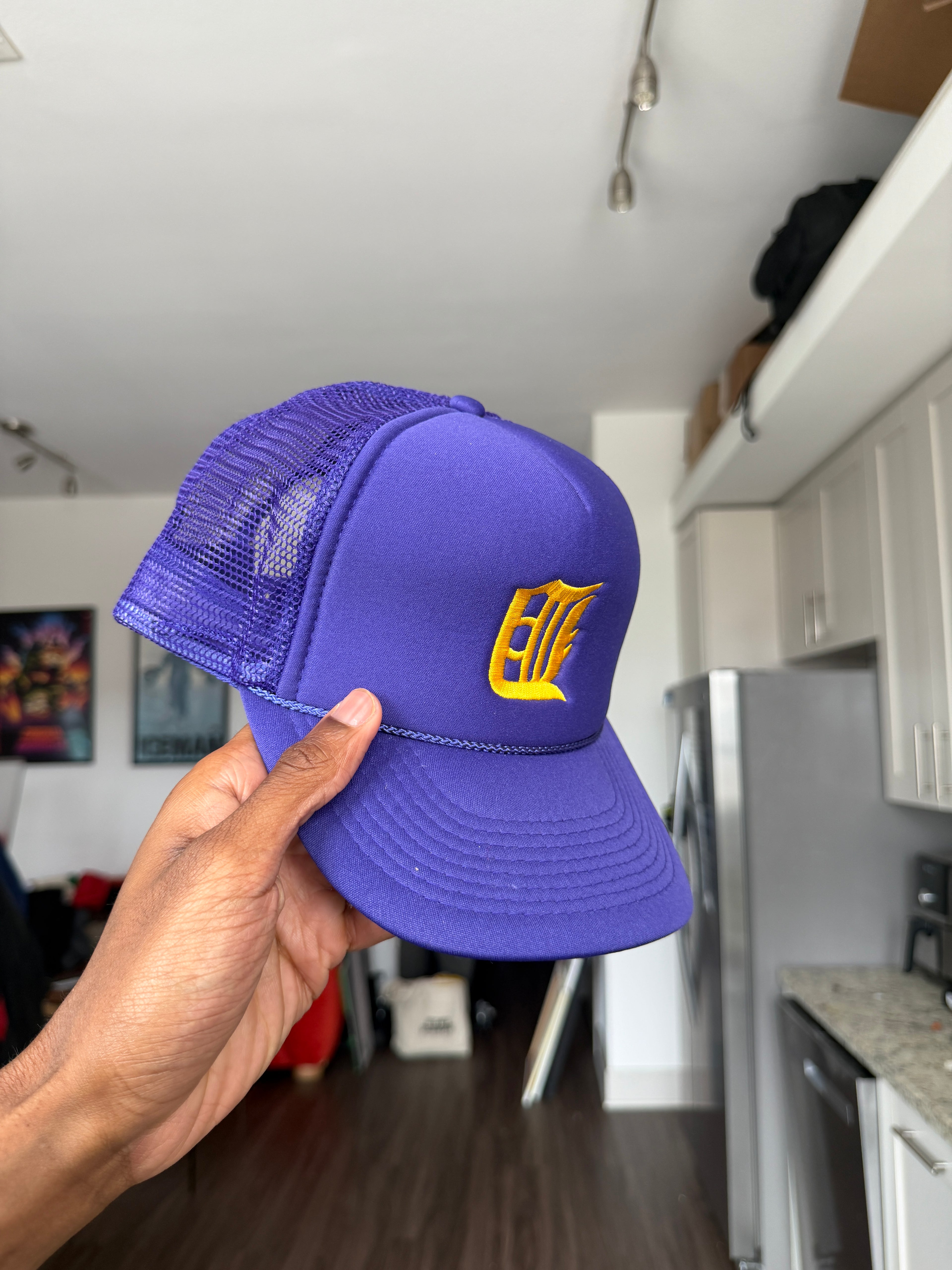 Champion Detroit Tigers Purple Baseball Cap